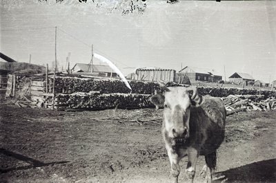 О5олор (15).jpg