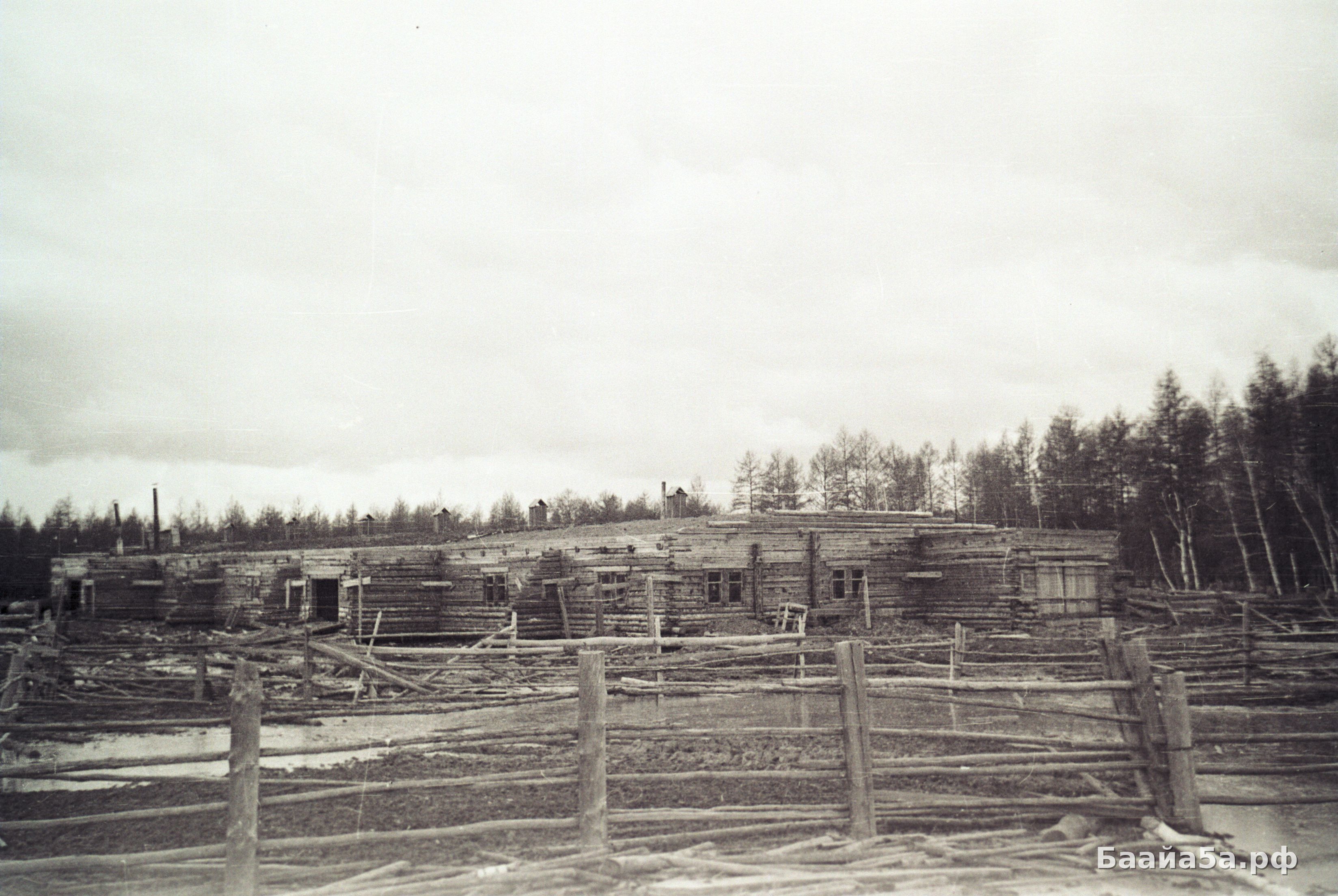 Тутуулар (19).jpg