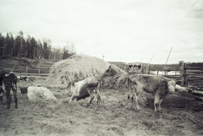 Тутуулар (21).jpg