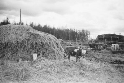 Тутуулар (22).jpg