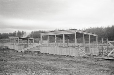 Тутуулар (5).jpg