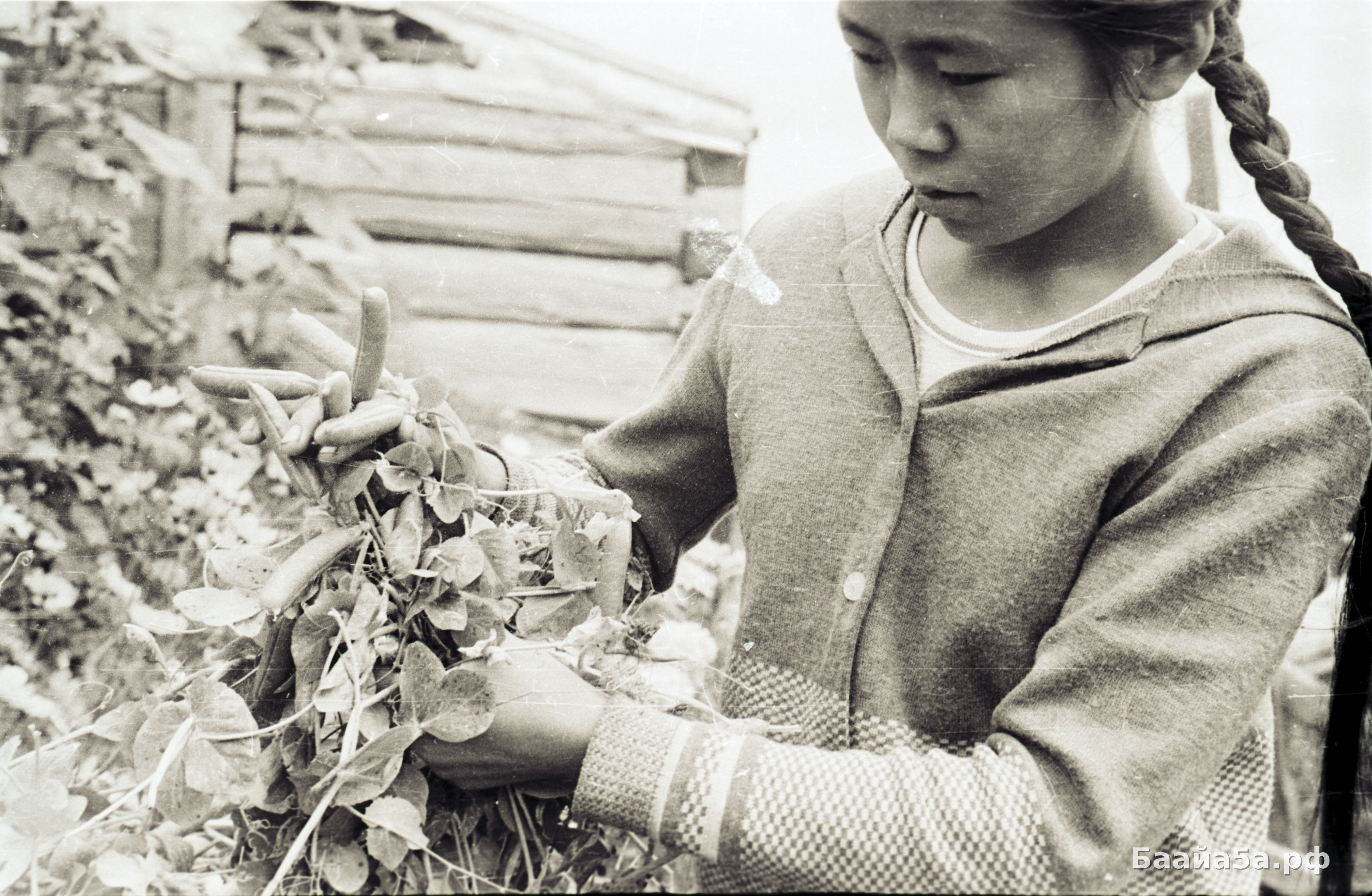 Пришкольный участок (3).jpg