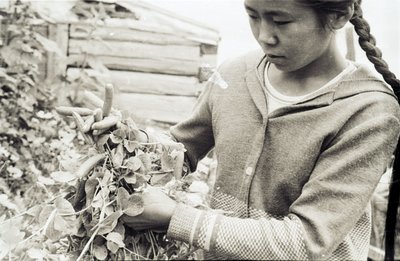 Пришкольный участок (3).jpg