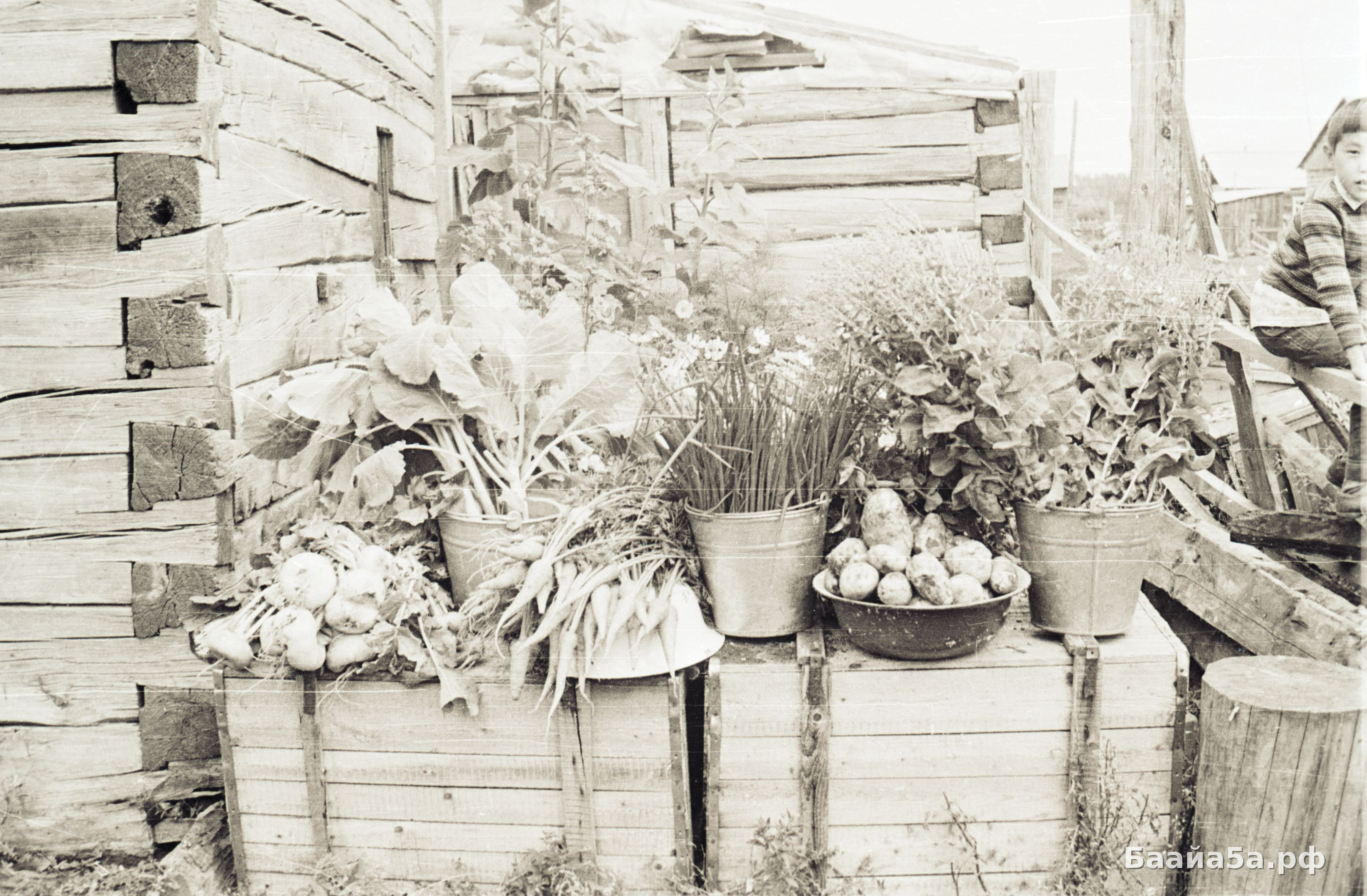 Пришкольный участок (6).jpg