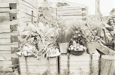 Пришкольный участок (6).jpg