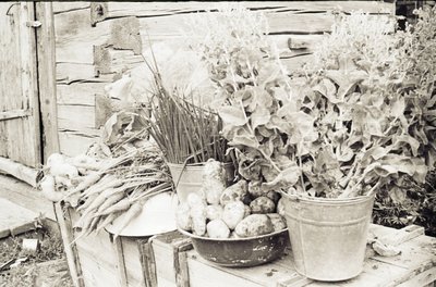 Пришкольный участок (7).jpg