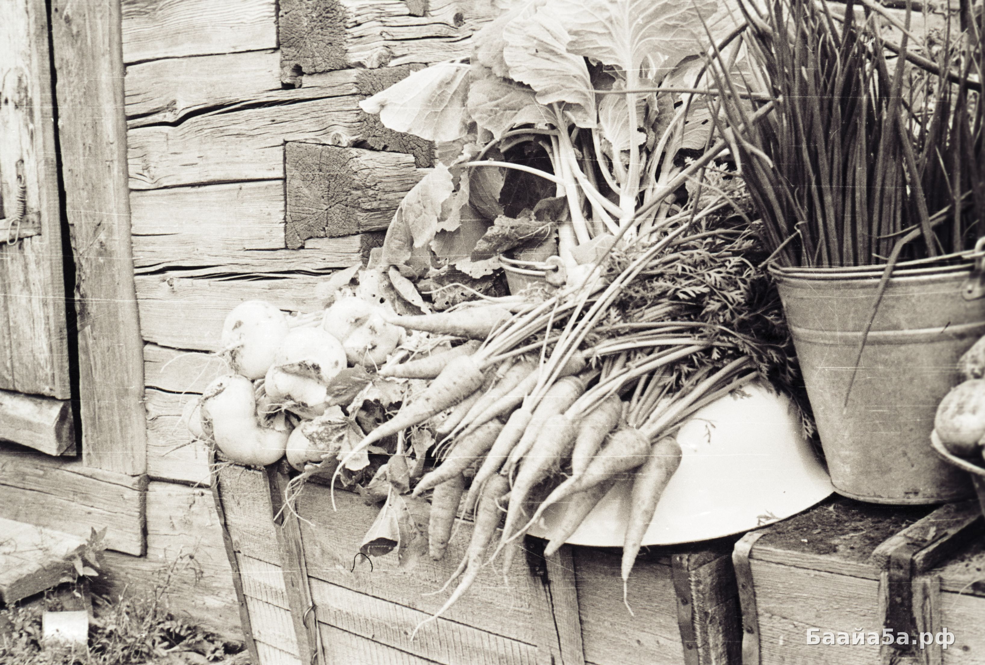 Пришкольный участок (9).jpg