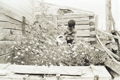 Пришкольный участок.jpg