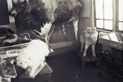 Музей (18).jpg