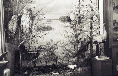 Музей (23).jpg