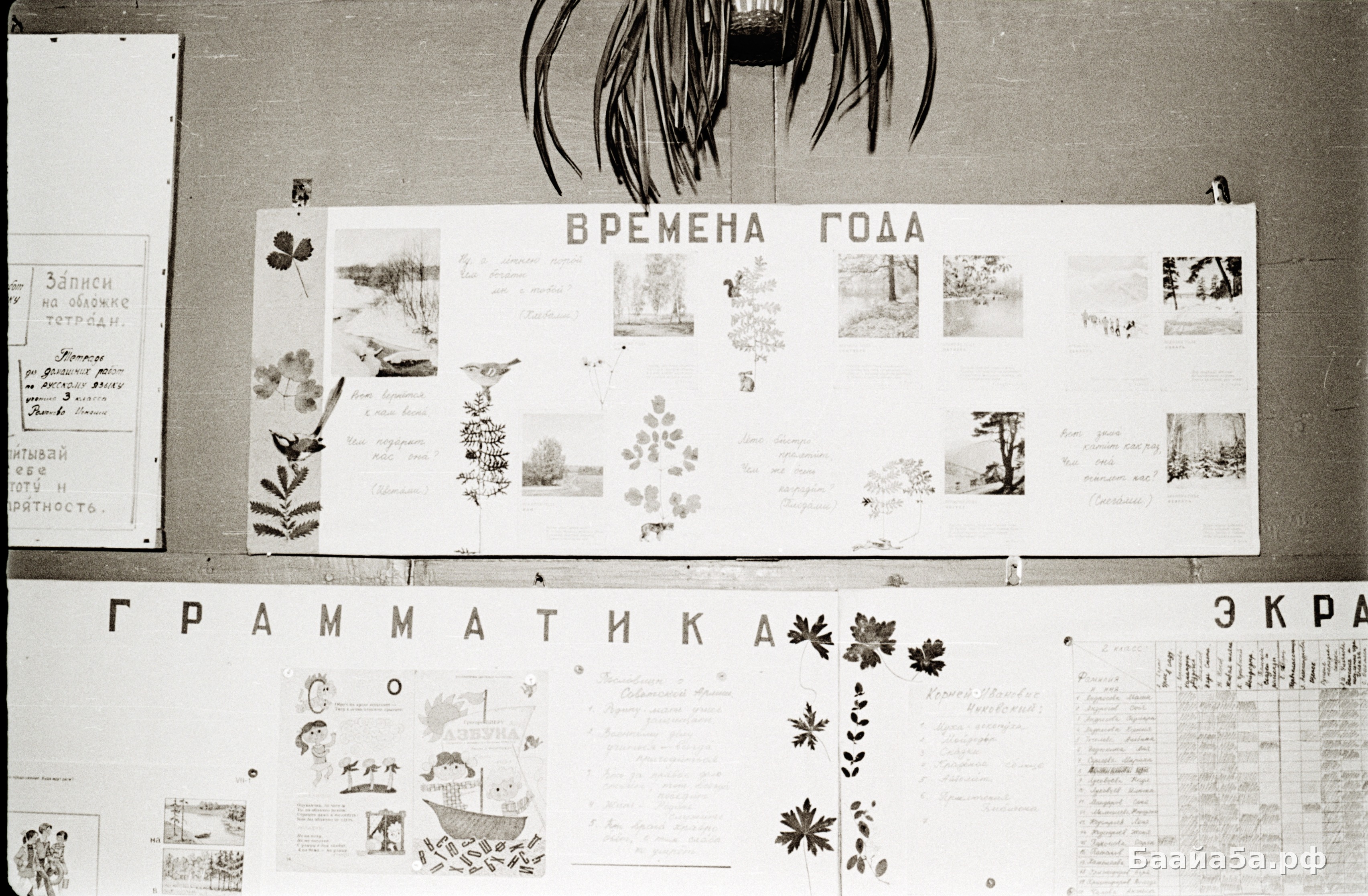 Кабинет (16).jpg