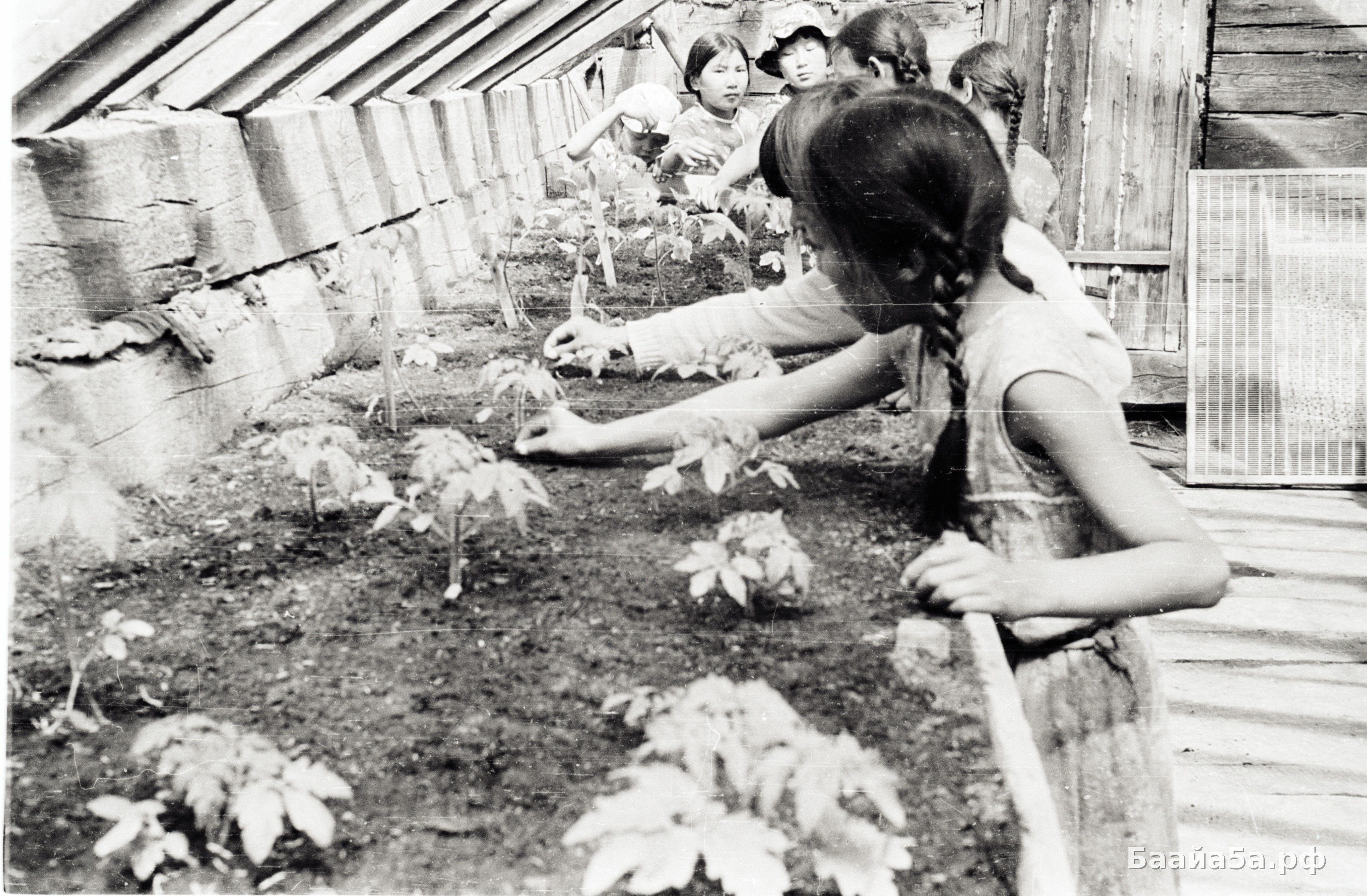 Работа78 (4).jpg