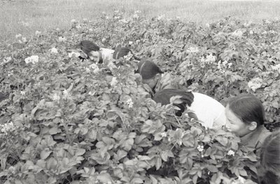 Юннаты (1).jpg