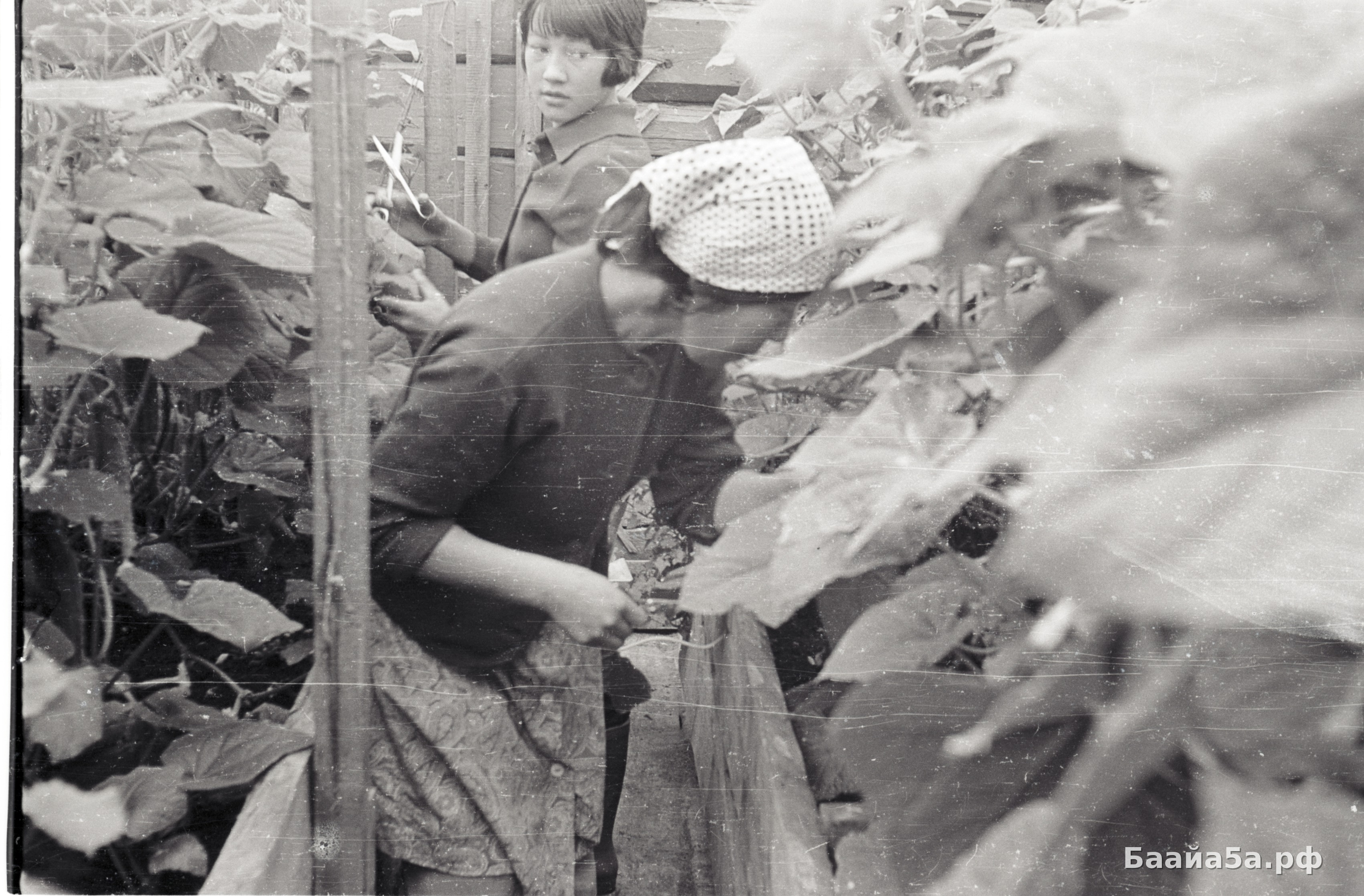 Юннаты (10).jpg