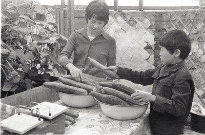 Юннаты (11).jpg