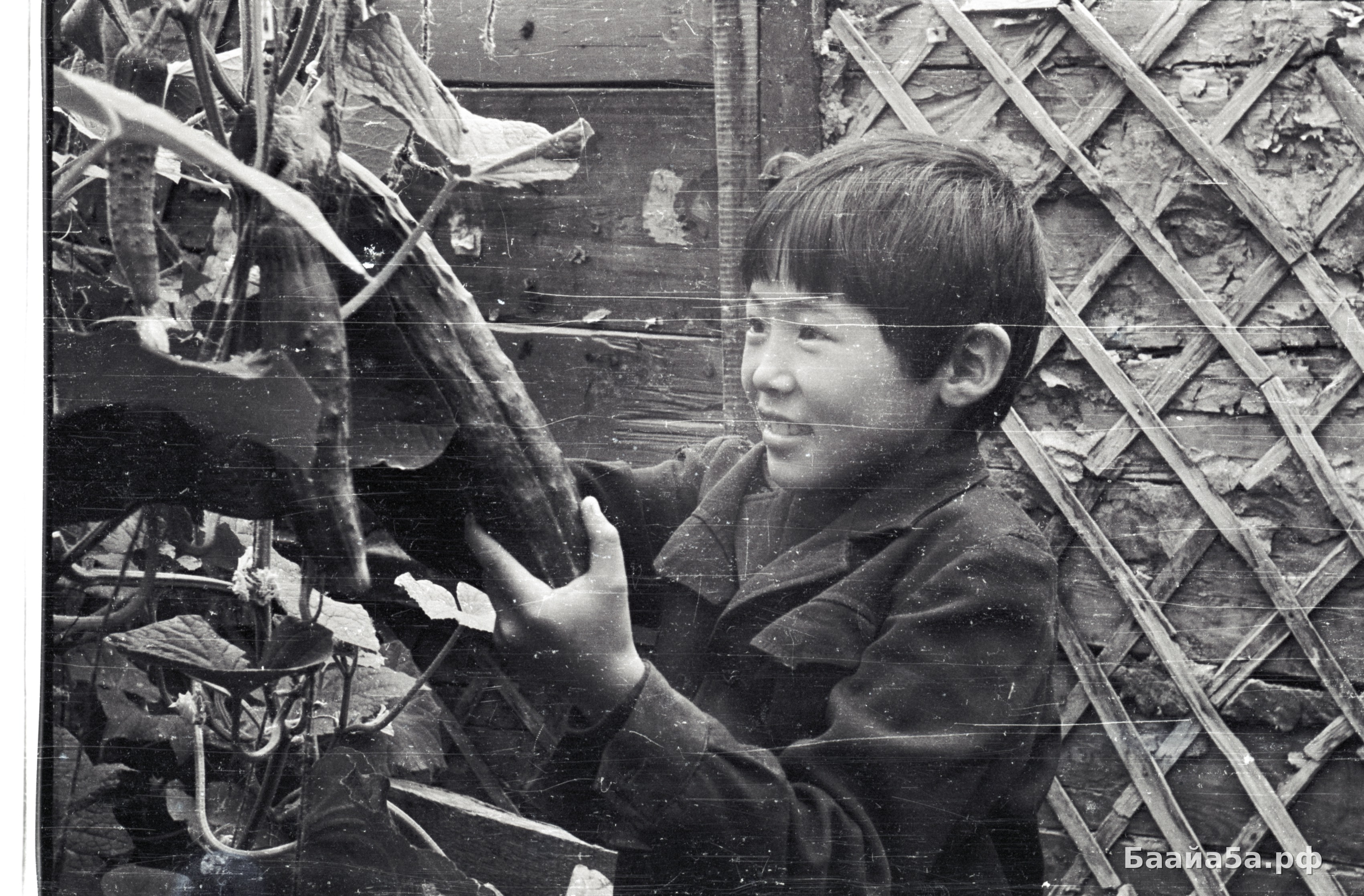 Юннаты (12).jpg