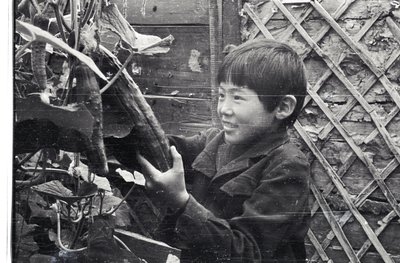 Юннаты (12).jpg