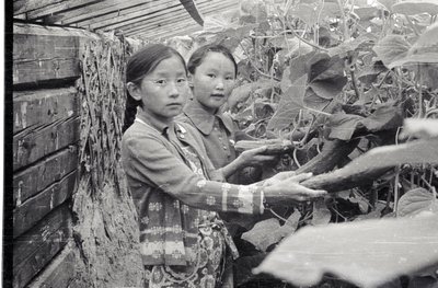 Юннаты (14).jpg