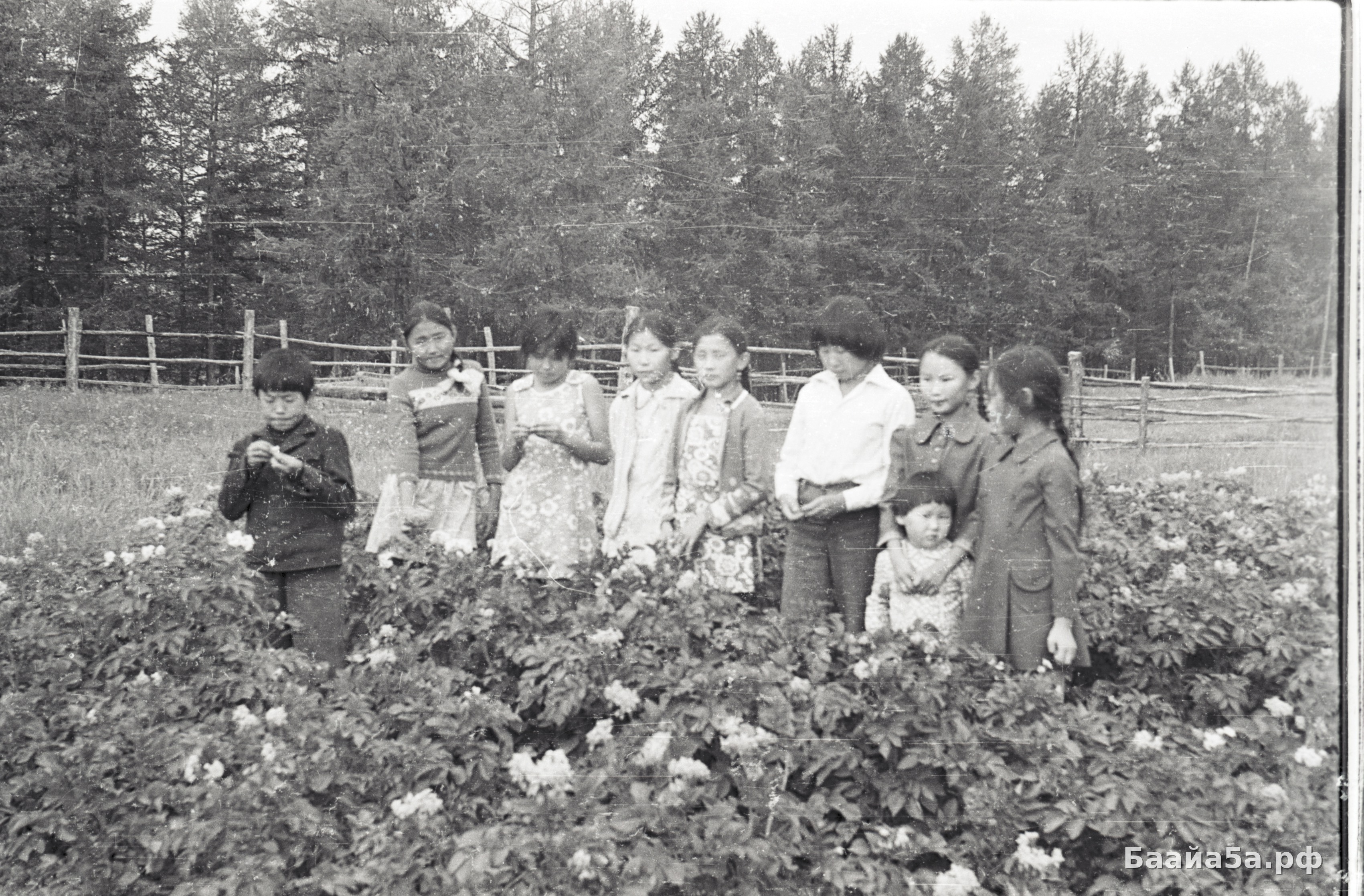 Юннаты (2).jpg