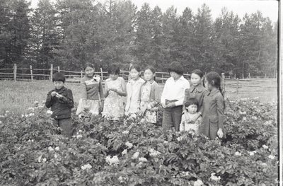 Юннаты (3).jpg