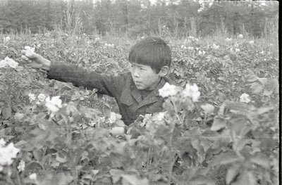 Юннаты (4).jpg