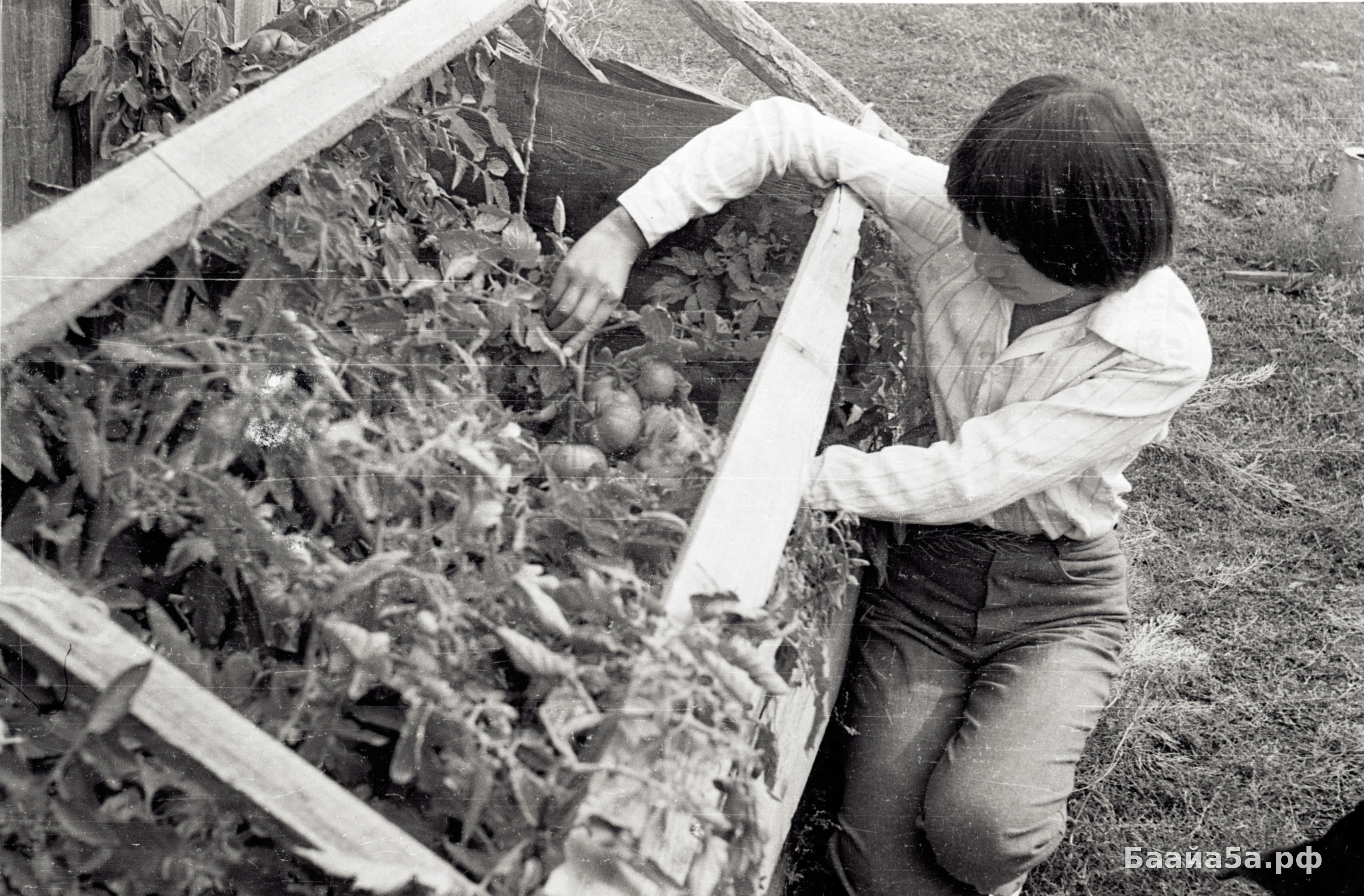 Юннаты (5).jpg