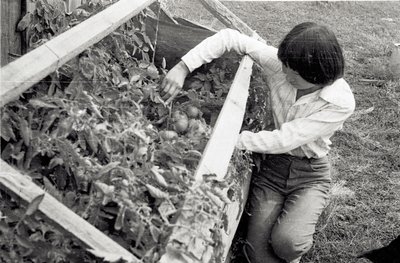 Юннаты (5).jpg