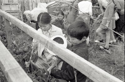 Юннаты (6).jpg