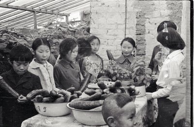 Юннаты (8).jpg