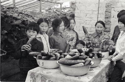 Юннаты (9).jpg