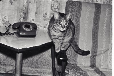 СеминарУНК (14).jpg