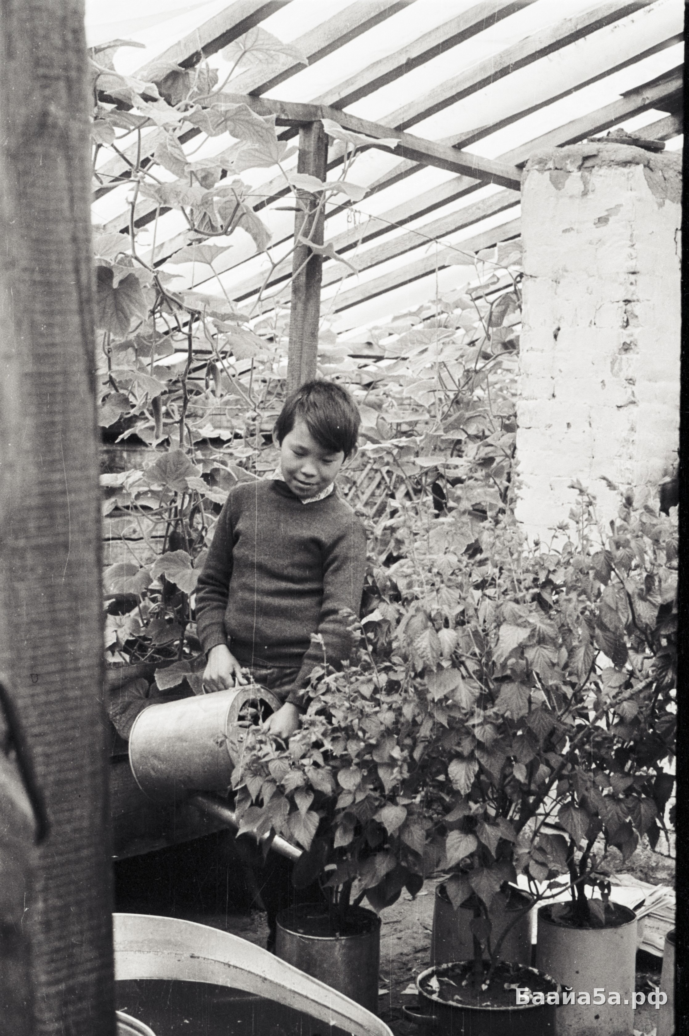 Юннаты2 (2).jpg