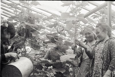 Юннаты2 (3).jpg