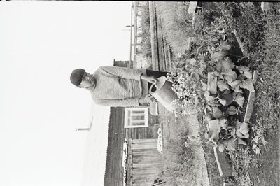 Юннаты2 (4).jpg