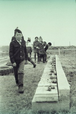 Концерты парад 9 мая (7).jpg