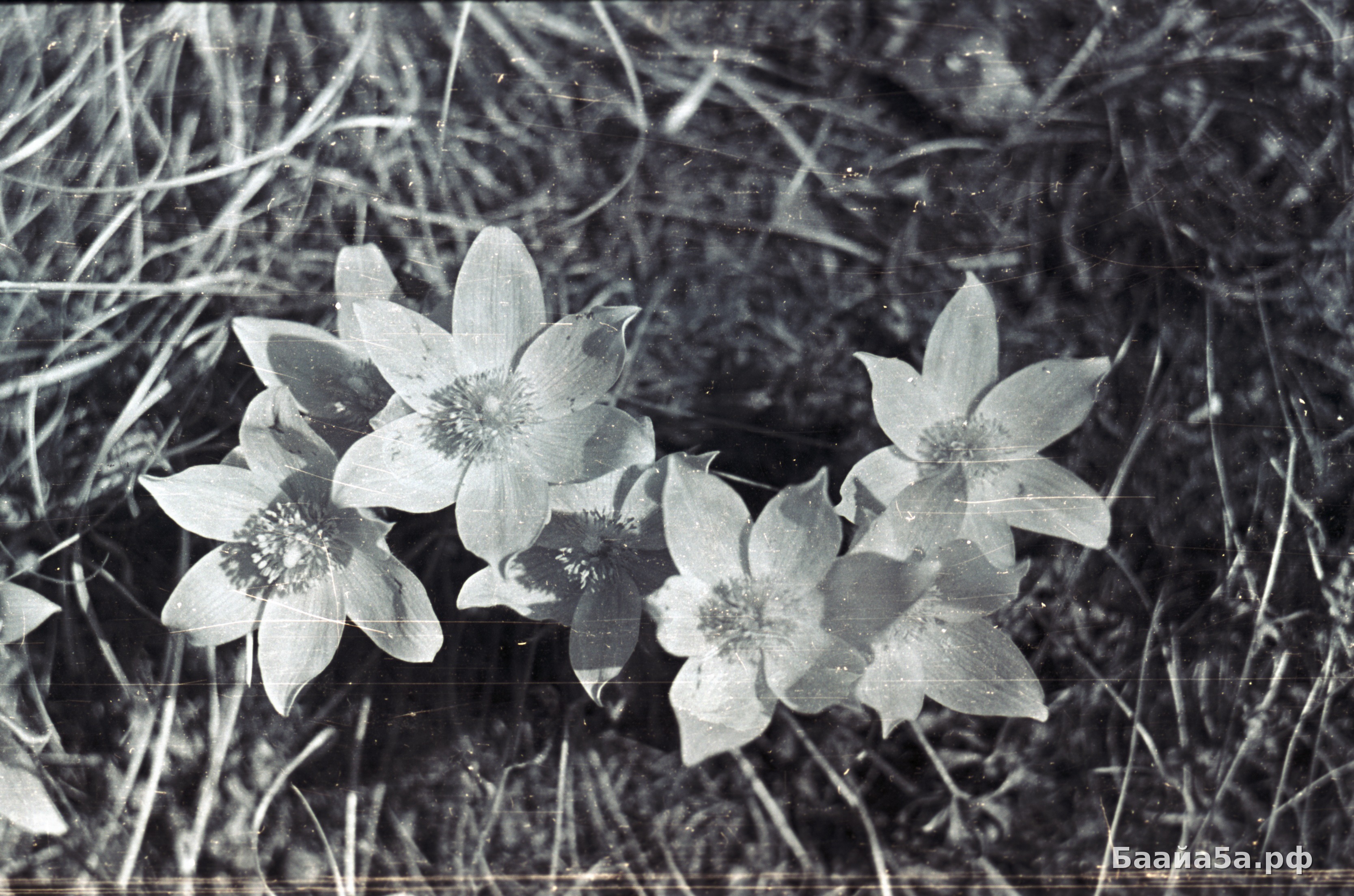 День пионерии (7).jpg