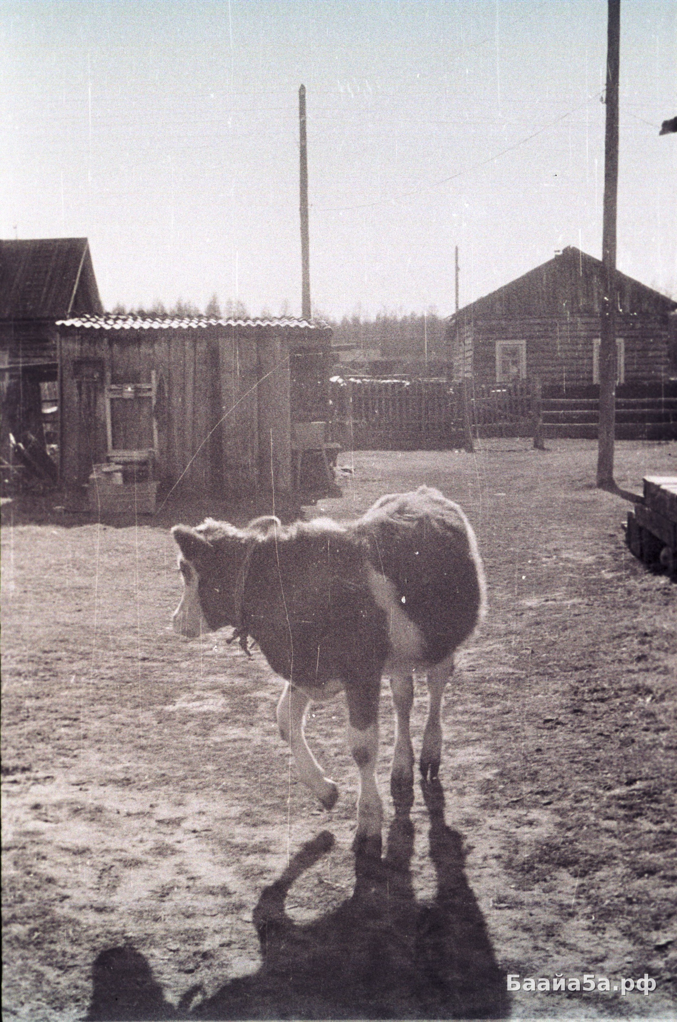 Мас олордуута (3).jpg