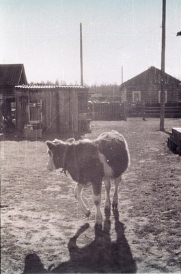 Мас олордуута (3).jpg