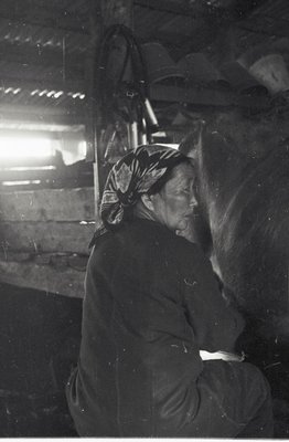 Сайылык (14).jpg