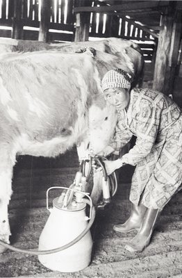 Сайылык (2).jpg