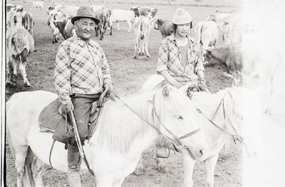 Сайылык (4).jpg