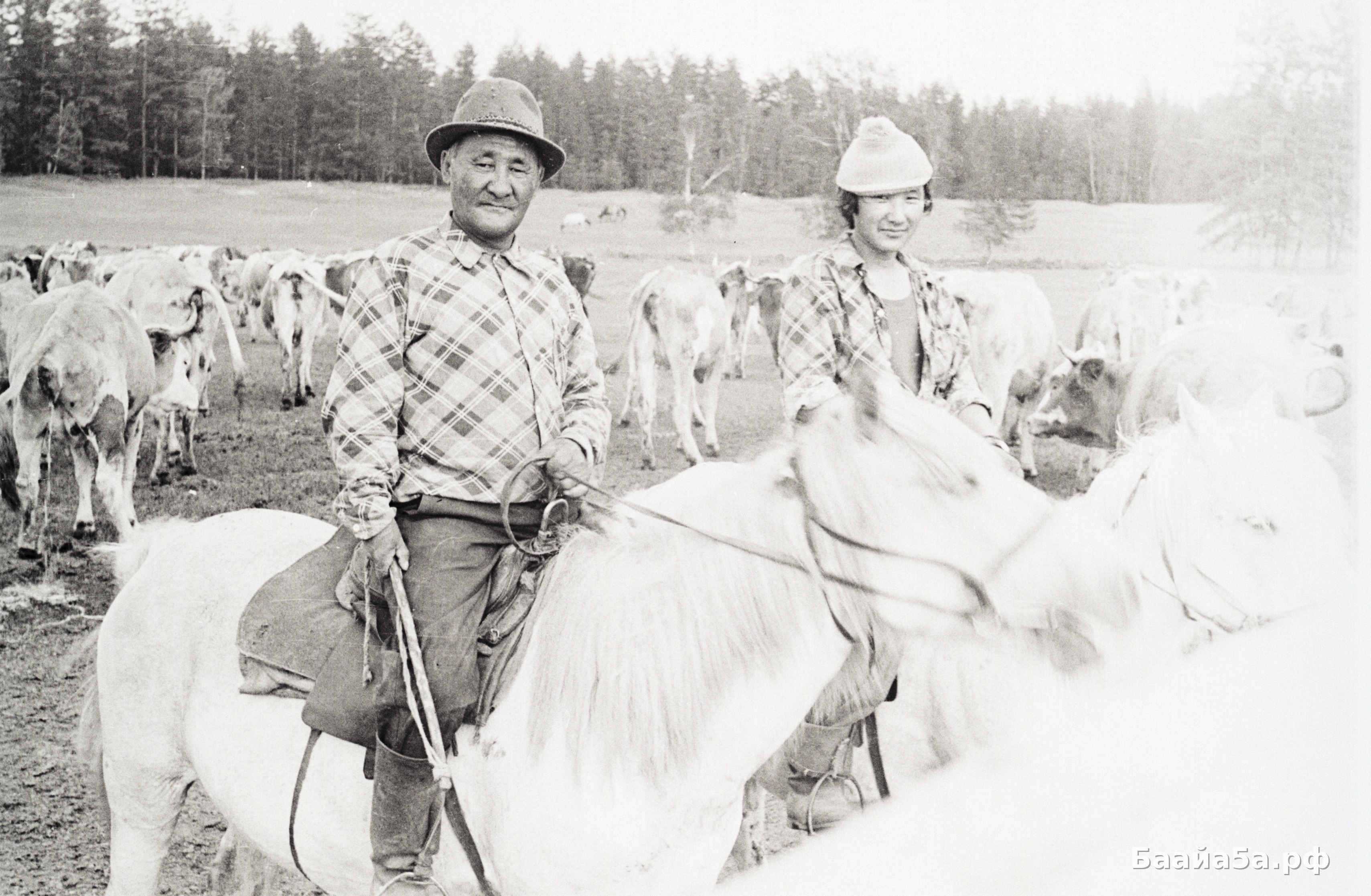 Сайылык (5).jpg