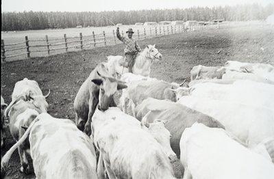 Сайылык (6).jpg