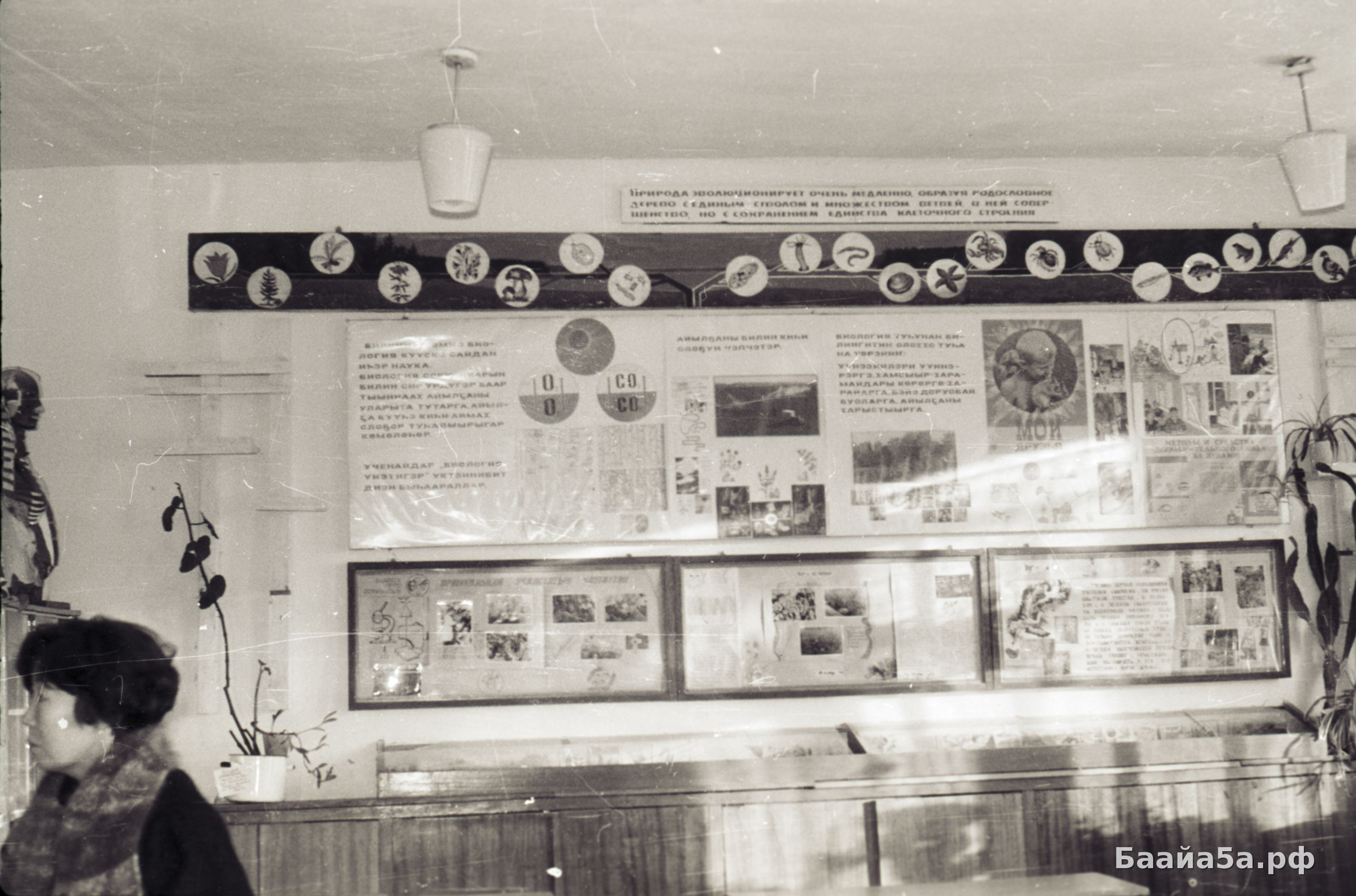 Кабинет биологии (2).jpg