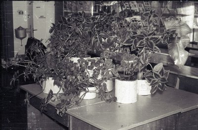 Кабинет биологии (5).jpg