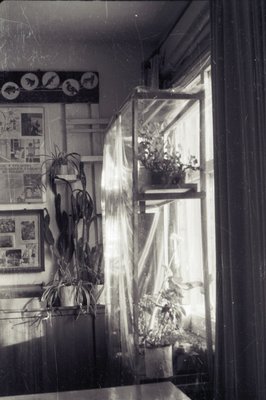 Кабинет биологии.jpg