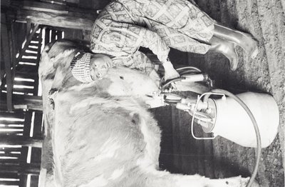 Сайылык (2).jpg