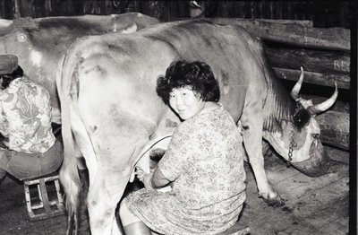 ДиректорШк (10).jpg