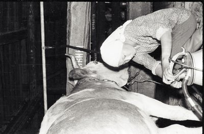 ДиректорШк (5).jpg