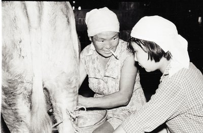 ДиректорШк (6).jpg